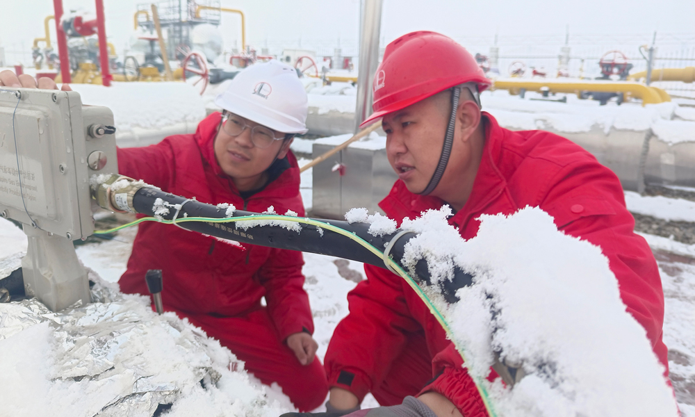 中国石化东北油气分公司销售中心员工冒雪查验计量仪表。
