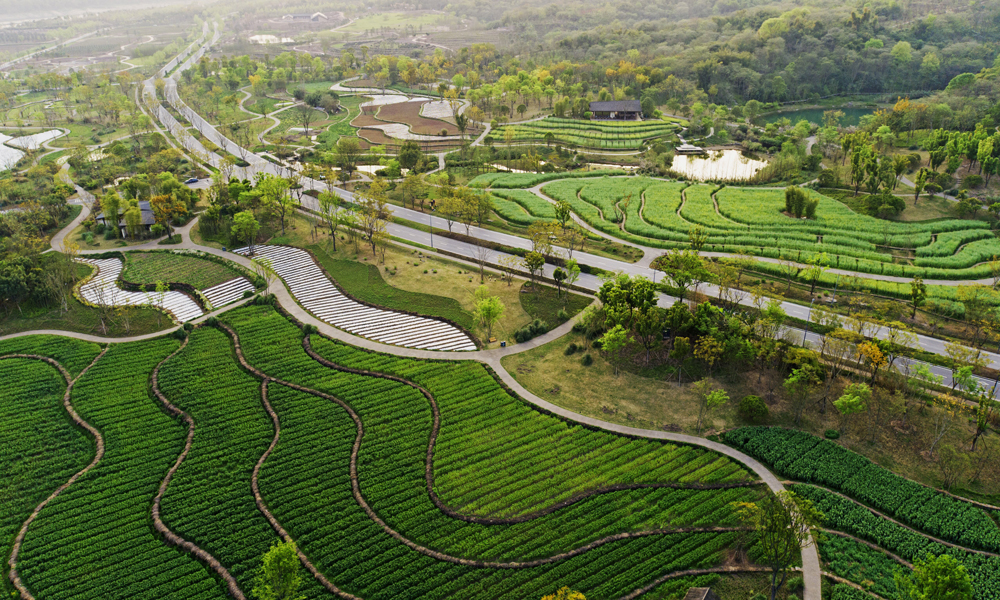 项目按山地、平坝、坡岸系统开展全岛生态保护修复和消落带治理，建设配套的生态设施、绿色建筑、配套设施，新建高峰山连接道西段道路，推进裸露地生态化整治，进一步聚焦生态、聚焦风景，对全岛生态修复进行完善提升，突出应用场景，展示生态文明和绿色发展示范。