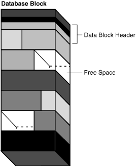 Description of Figure 15-11 follows Description of Figure 15-11 follows