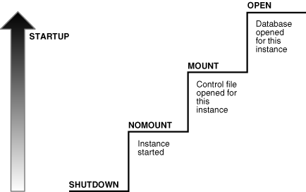 Description of Figure 16-3 follows Description of Figure 16-3 follows