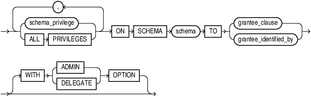Description of grant_schema_privileges.eps follows